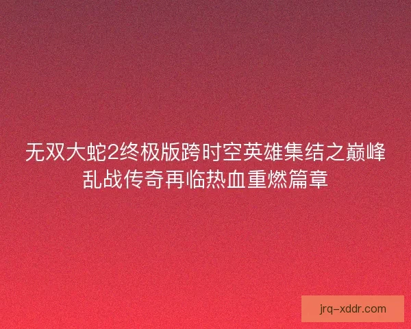 无双大蛇2终极版跨时空英雄集结之巅峰乱战传奇再临热血重燃篇章