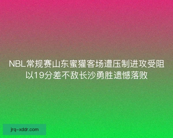 NBL常规赛山东蜜獾客场遭压制进攻受阻以19分差不敌长沙勇胜遗憾落败