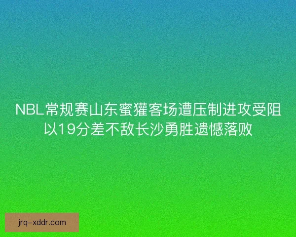 NBL常规赛山东蜜獾客场遭压制进攻受阻以19分差不敌长沙勇胜遗憾落败