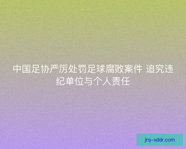 中国足协严厉处罚足球腐败案件 追究违纪单位与个人责任